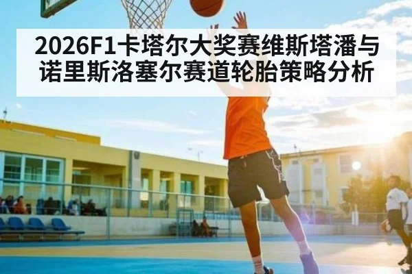 2026F1卡塔尔大奖赛维斯塔潘与诺里斯洛塞尔赛道轮胎策略分析